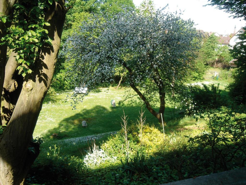 Hotel B&B Bredl In Der Villa Ballestrem Straubing Oda fotoğraf
